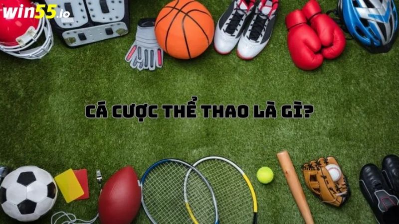 Cá cược thể thao là gì? Cá cược thể thao là gì?