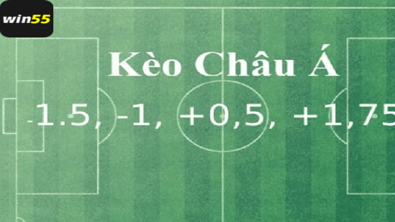 Các loại kèo châu Á sử dụng tỷ lệ Malaysia