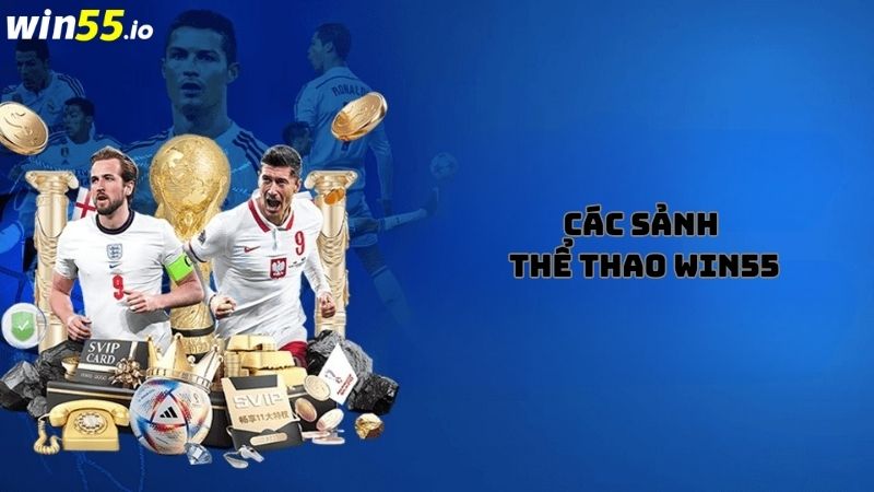 Khám phá sức hấp dẫn của các sảnh chơi cá cược thể thao Win55 Khám phá sức hấp dẫn của các sảnh chơi cá cược thể thao Win55