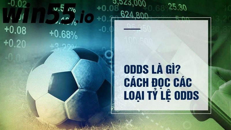 Hướng dẫn cách đọc các loại odds phổ biến nhất