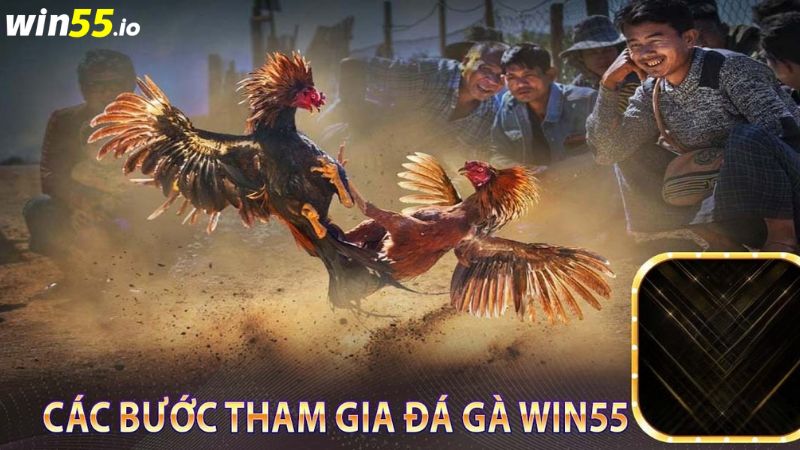 Hướng dẫn các bước tham gia chơi Đá gà Win55 Hướng dẫn các bước tham gia chơi Đá gà Win55