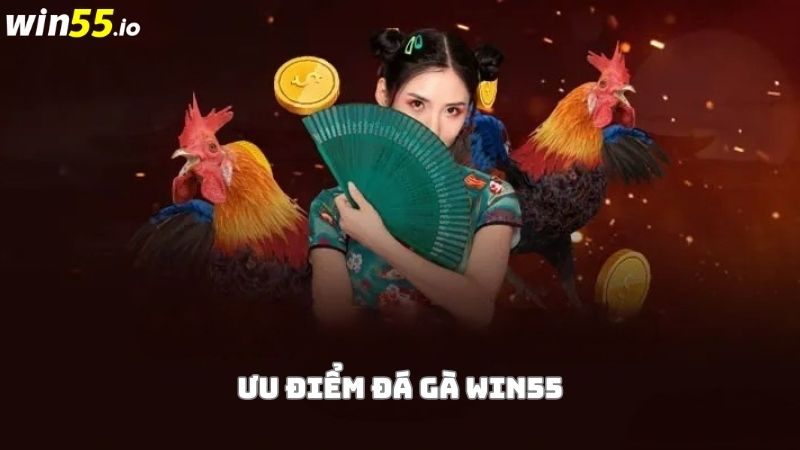 Lý do đá gà Win55 hấp dẫn được nhiều người chơi Lý do đá gà Win55 hấp dẫn được nhiều người chơi