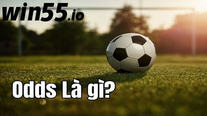 Người chơi cần nắm được odds là gì?