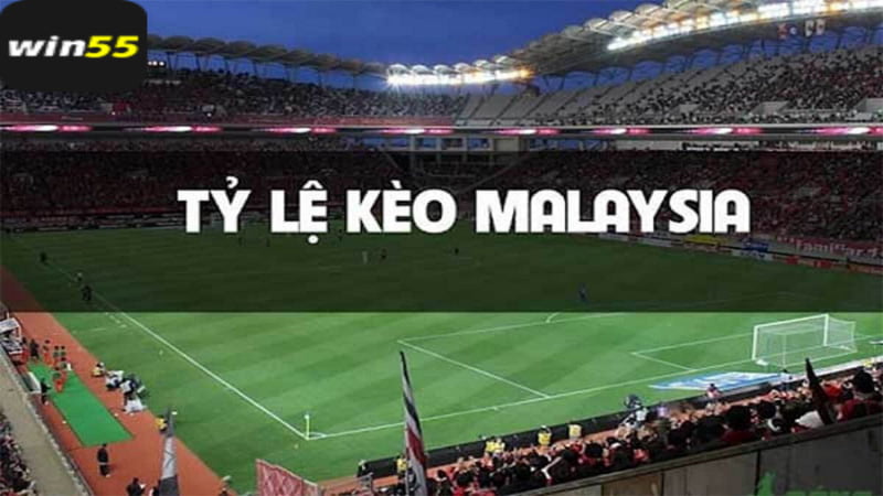Tìm hiểu thông tin cơ bản về tỷ lệ kèo Malaysia