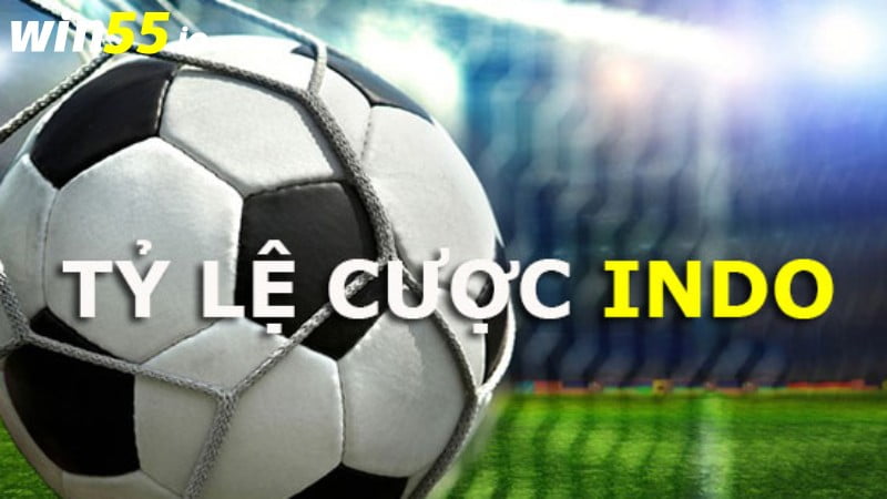 Cần nắm vững tỷ lệ kèo Indonesia dương trước khi tham gia chơi
