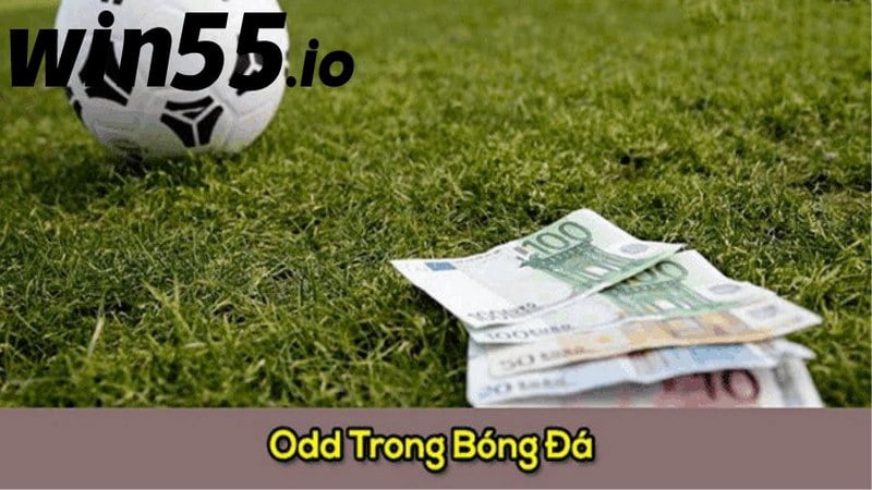 Tỷ lệ odds phổ biến trong bóng đá hiện nay