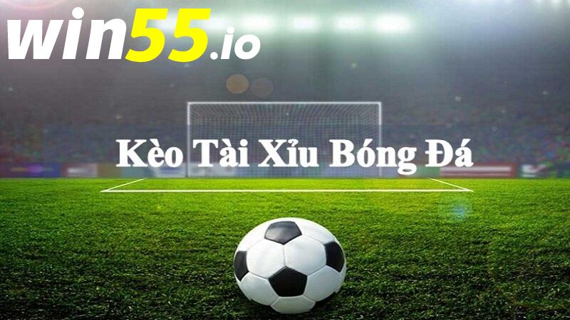 Lý do cần nắm cách đọc kèo bóng đá tài xỉu
