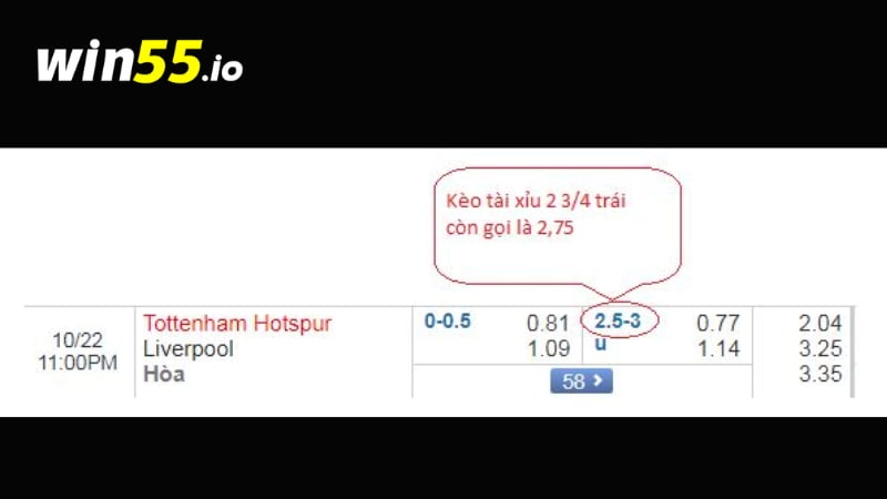 Chuyên gia đã nhận định để chơi cá cược hiệu quả trước hết phải hiểu kèo 2 3/4 nghĩa là gì